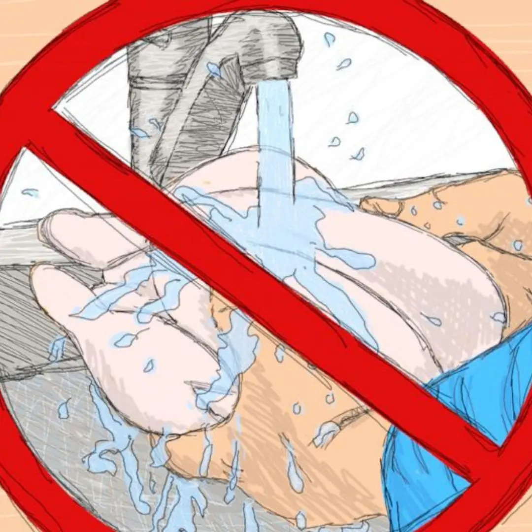 Don’t rinse r.a.w chicken: nine food safety tips from microbiologists