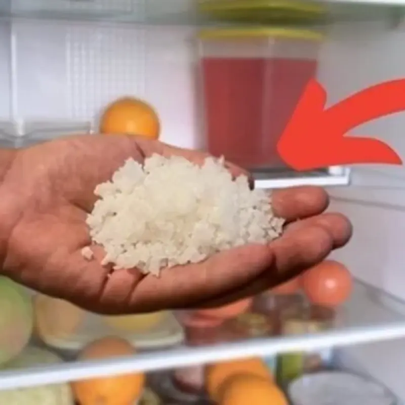 Put a Handful of Salt in the Fridge A Golden Trick Everyone Wants to Try After Reading
