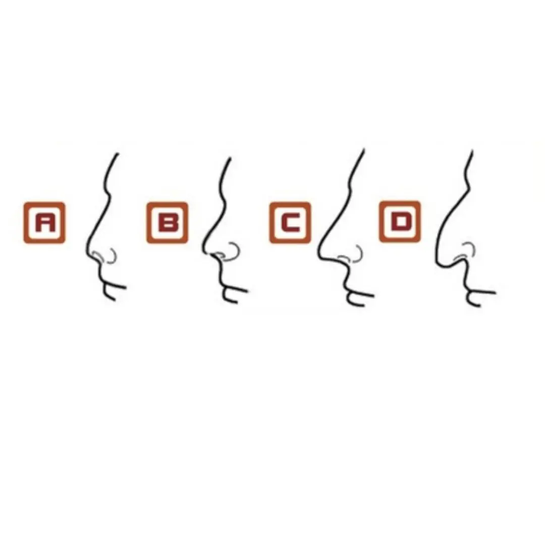 Look at the shape of your nose to predict your destiny and fortune for life