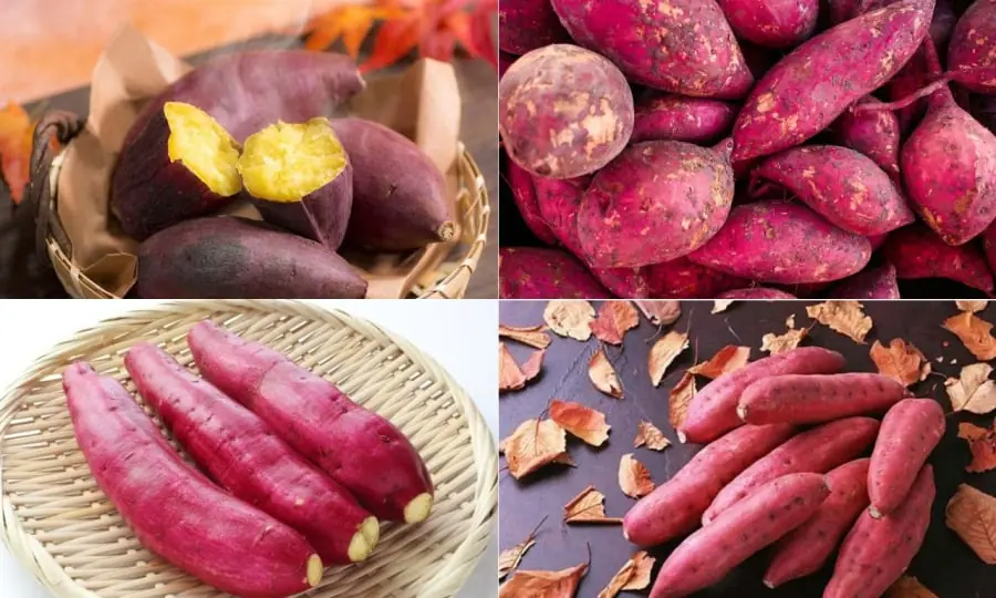Is Eating Sweet Potatoes Good for You? Health Benefits Everyone Should Know