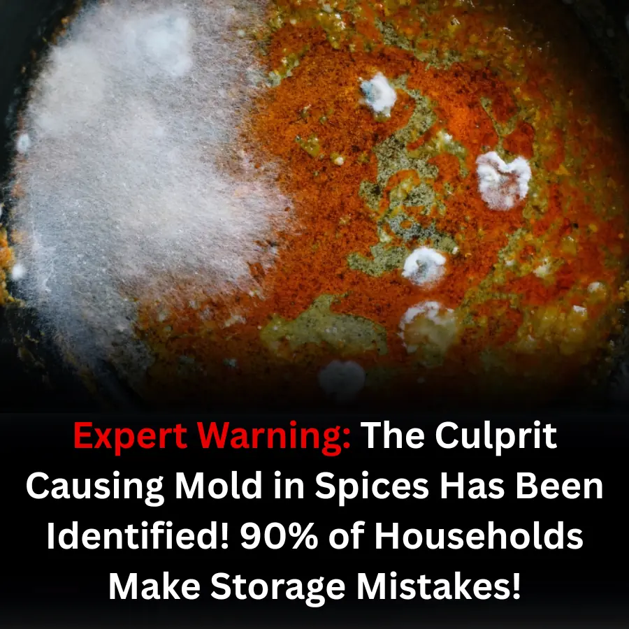 Expert Warning: The Culprit Causing Mold in Spices Has Been Identified! 90% of Households Make Storage Mistakes!