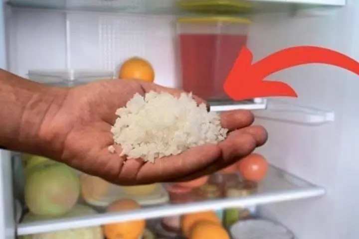 Put a Handful of Salt in the Fridge: The “Golden” Trick Every Household Needs