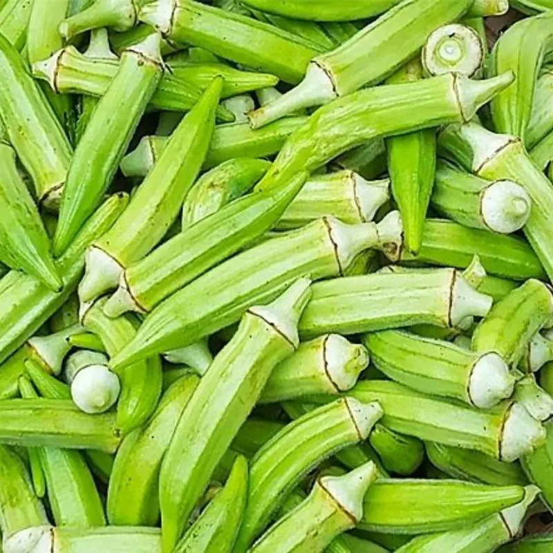 Okra Looks Healthy, But It May Be Off-Limits for These 3 Groups of People