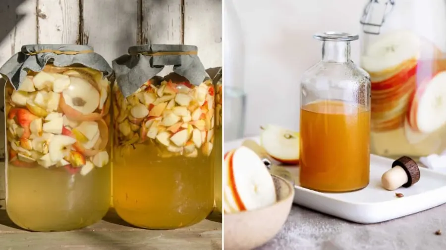 DIY Apple Cider Vinegar: Cheap, Delicious, and Safe to Make at Home