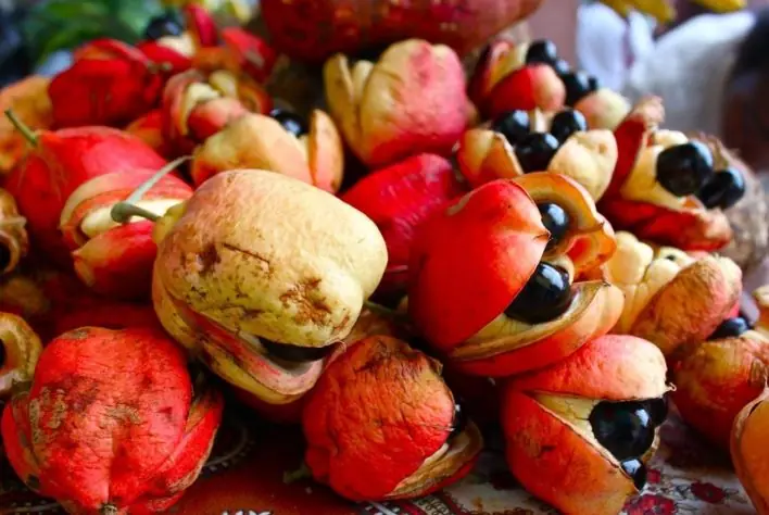 The most dangerous foods in the world