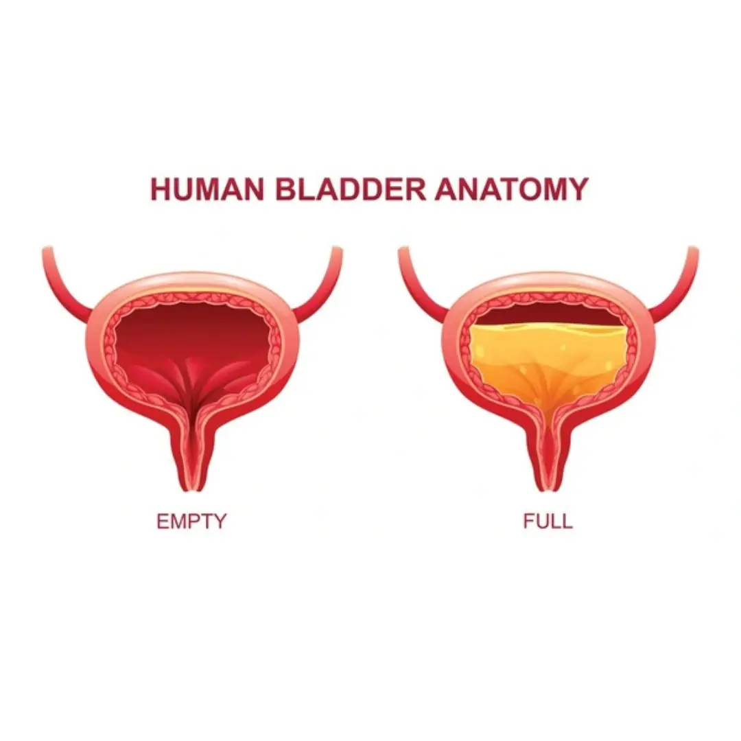Top 7 Foods To Protect Your Bladder — Plus 7 You’d Better Avoid