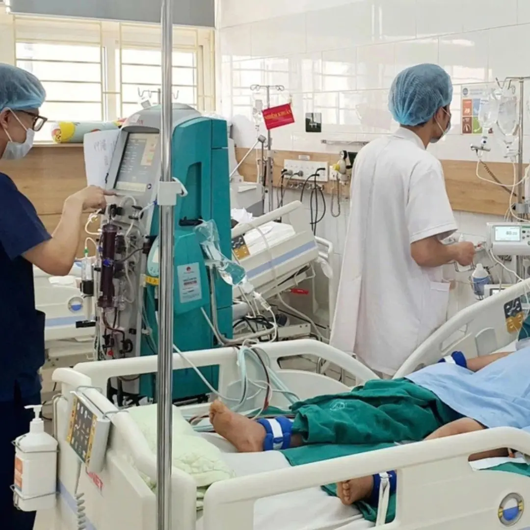 Couple suffers heart and liver d.a.m.age... after eating white mushrooms