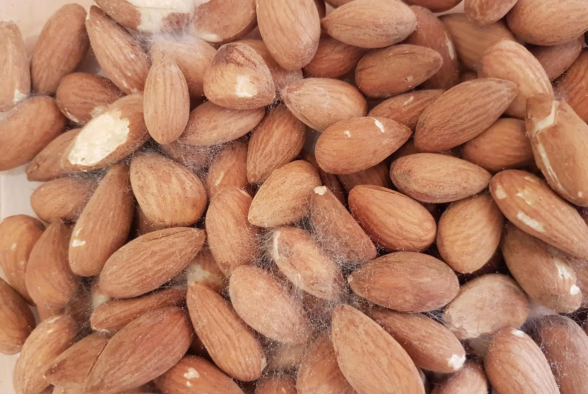 4 Types of Nuts You Should Never Eat If They've Been Sitting Around