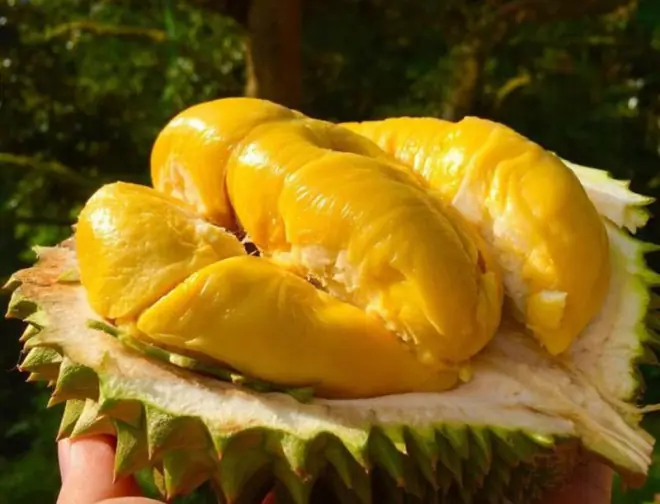 Want Radiant, Hydrated, and Glowing Skin This Summer? Eat These 5 "Magical" Fruits