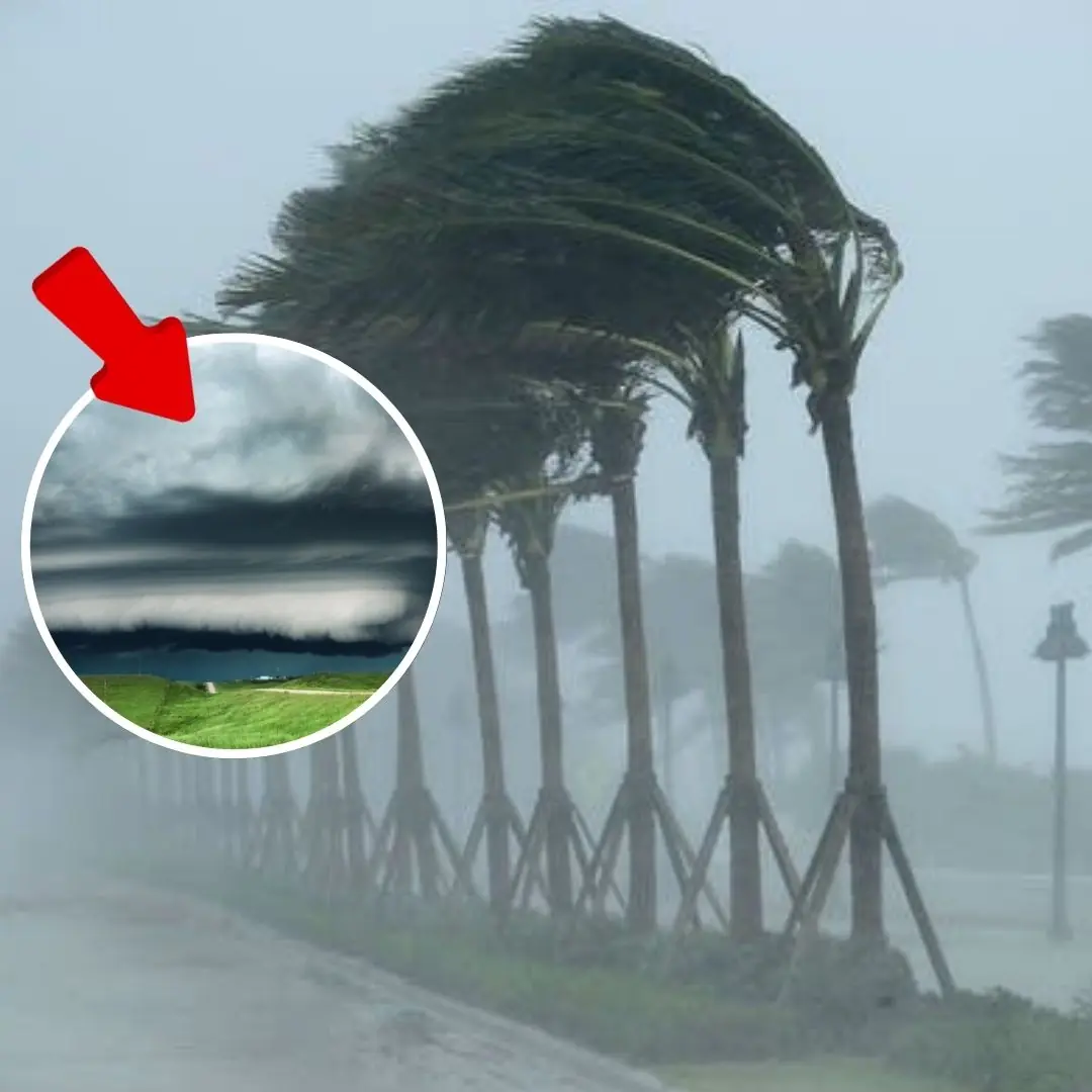 Read The Clouds: 5 Signs A Storm Is Brewing