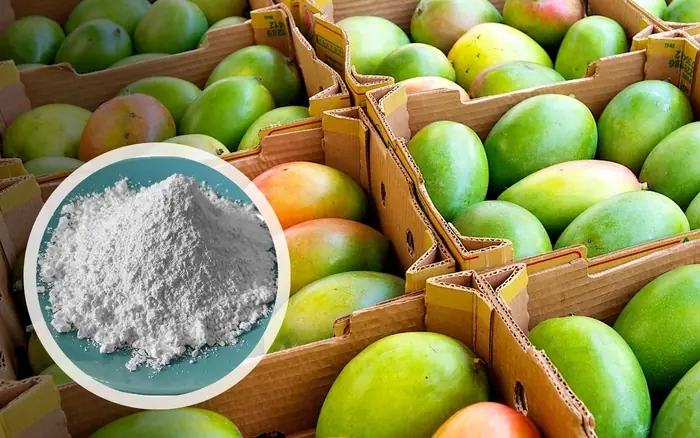 3 Types of Fruit Can.cer Cells “Love”