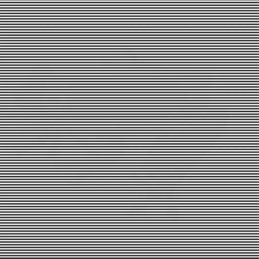 Squint your eyes and guess what animals are hiding behind these illusions