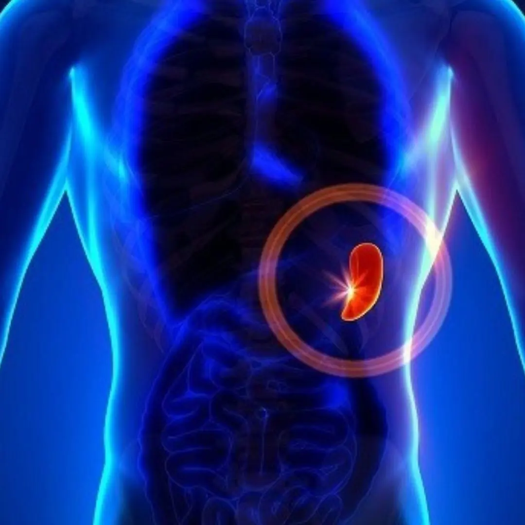 Spleen Cancer: A Rare But Dangerous Disease – You Need To Know!