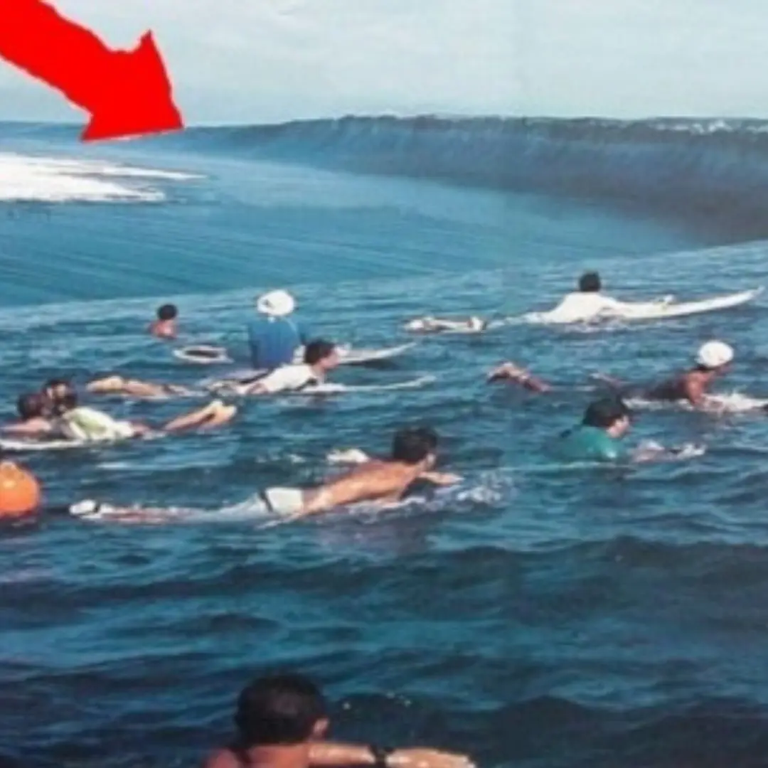Tsunami and its warning signs, essential for those who often go to sea
