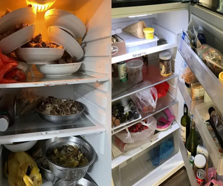 5 hoarding habits that accidentally turn the refrigerator into a "bac.teria nest"