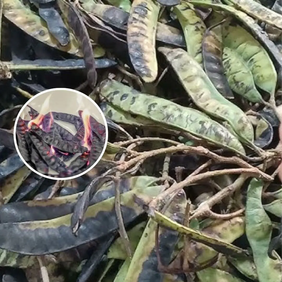 5 Surprising Uses of This Fruit You’ve Probably Never Heard Of