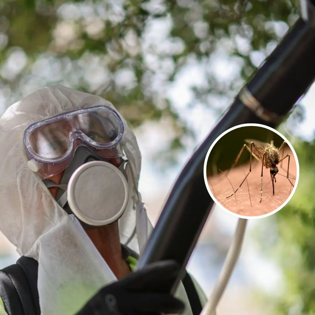 Alarm in China that efforts to control Chikungunya virus are infr.in.ging on ri.g.hts