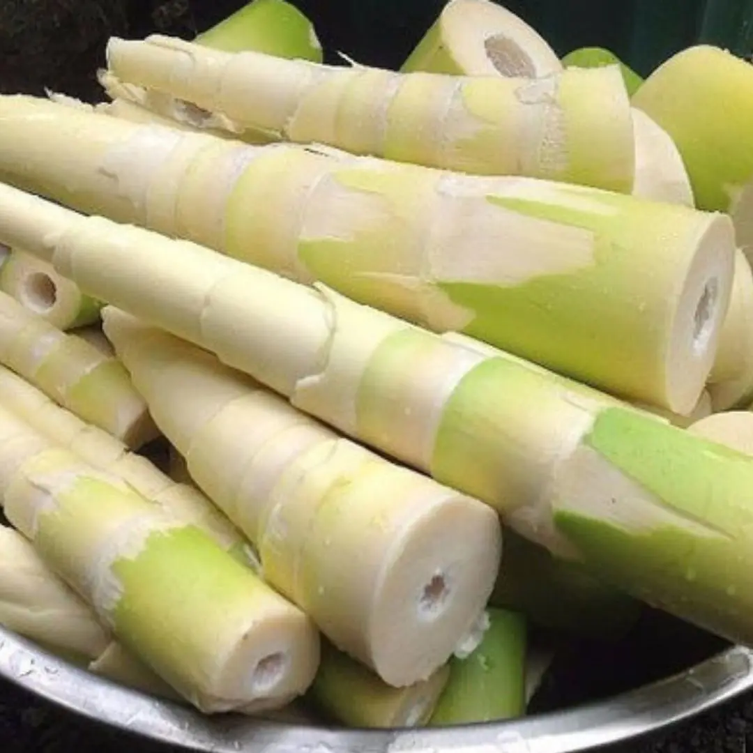 For some, bamboo shoots are pure poison — eat them and you could court disaster