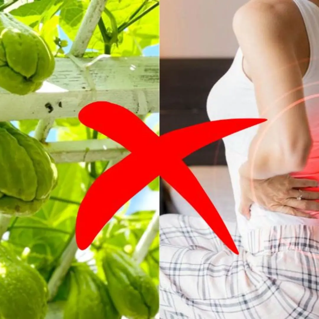 Although chayote is a nutritious food, if you eat it this way, you can accidentally bring disease into your body and damage your health