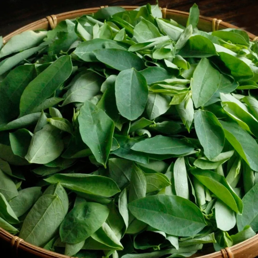 This is a simple vegetable but is so rich in vegetable protein that experts recommend using it instead of meat