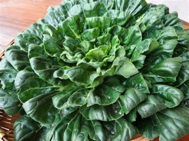 Three Types of Vegetables with the Highest Pesticide Residues