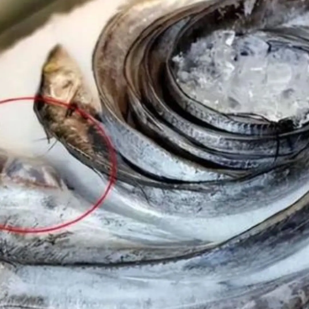 4 types of fish are listed as 'cancer causing'! Eating too much will cause cancer