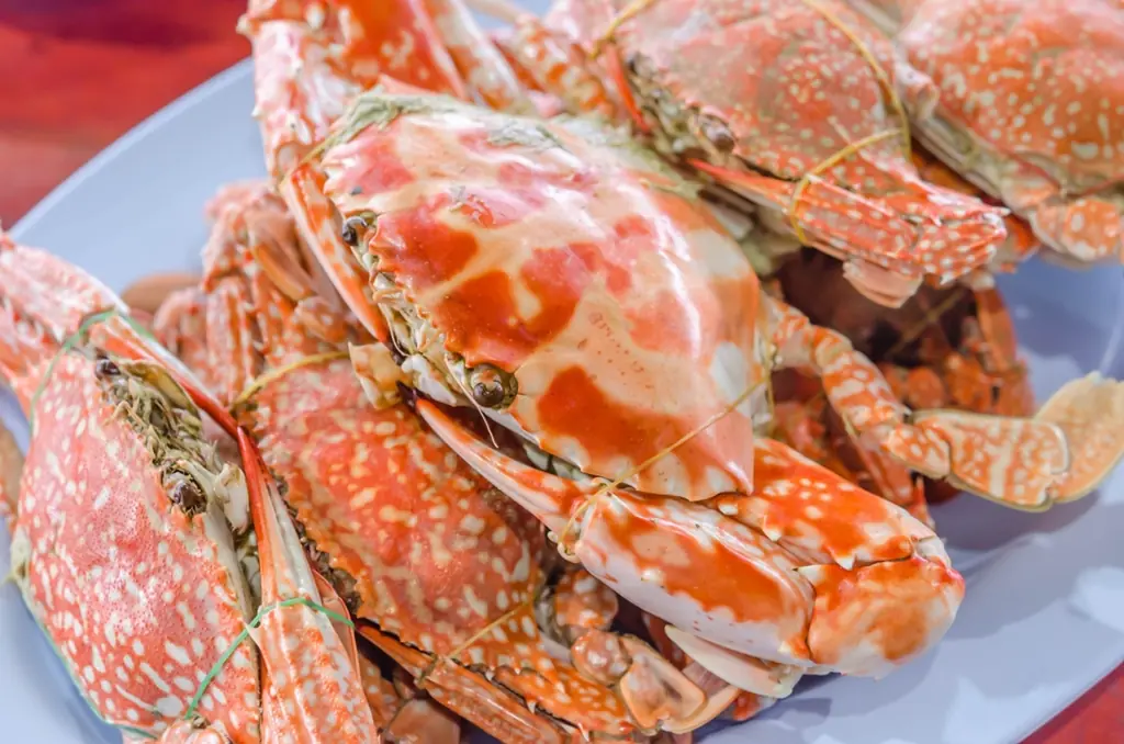 5 Wild-Caught Fish That Cannot Be Farmed