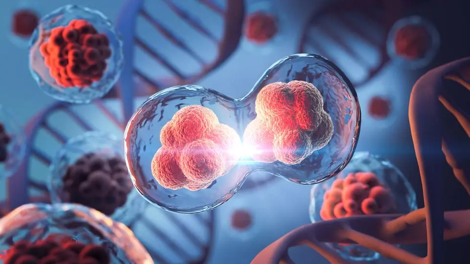 Can.cer Cells Love These 4 Foods