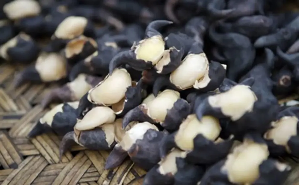 5 Types of Vegetables That Hide “Nests of Parasites”