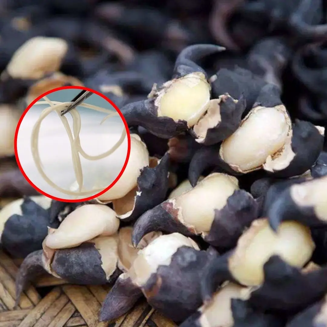 5 vegetables you should never eat raw — they may hide worm nests that turn into parasites in your stomach