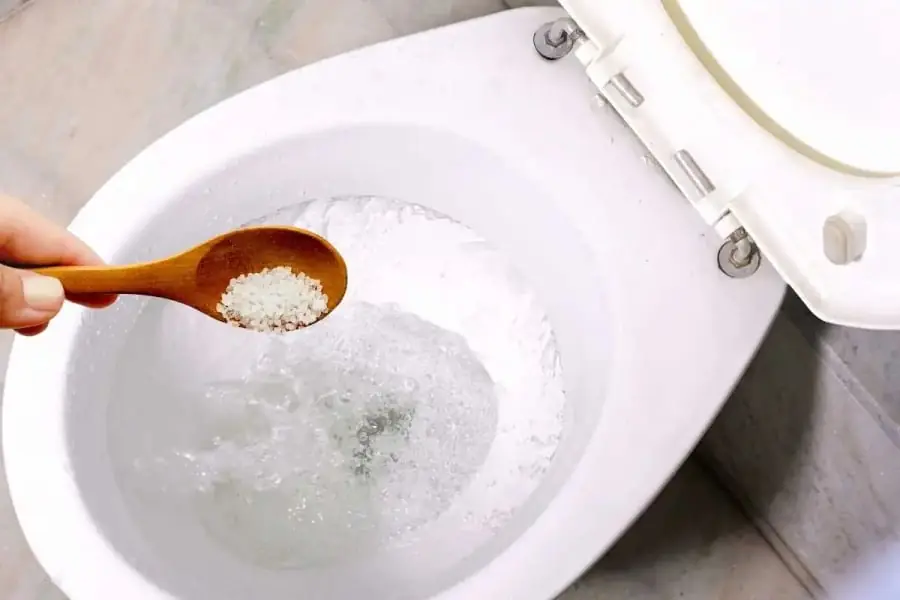 Pour Salt into the Toilet: The Surprising Benefits Every Home Needs