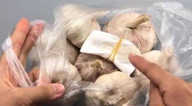 3 super easy garlic storage hacks
