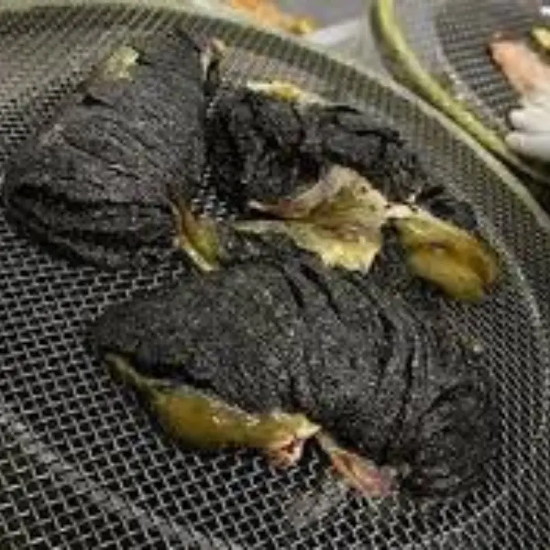 Once Used as Pig Feed, Now a Luxury Delicacy Worth $3 Million per Kilogram