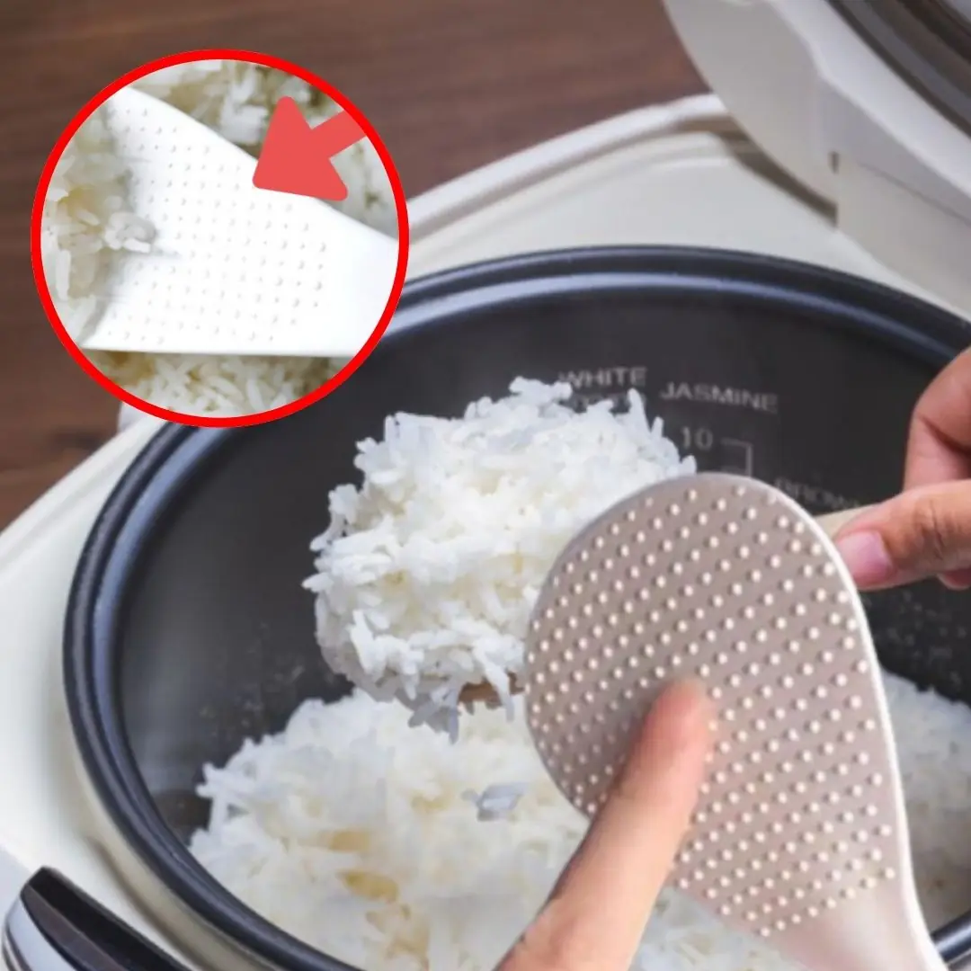 Using a rice scoop for decades, but not everyone knows what this small dot does
