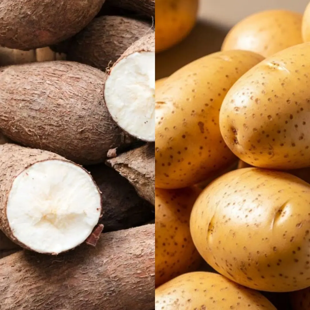 Foods that are toxic if eaten raw: what you need to know to protect your health