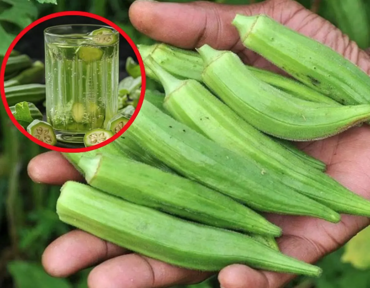 5 groups of people should not eat okra