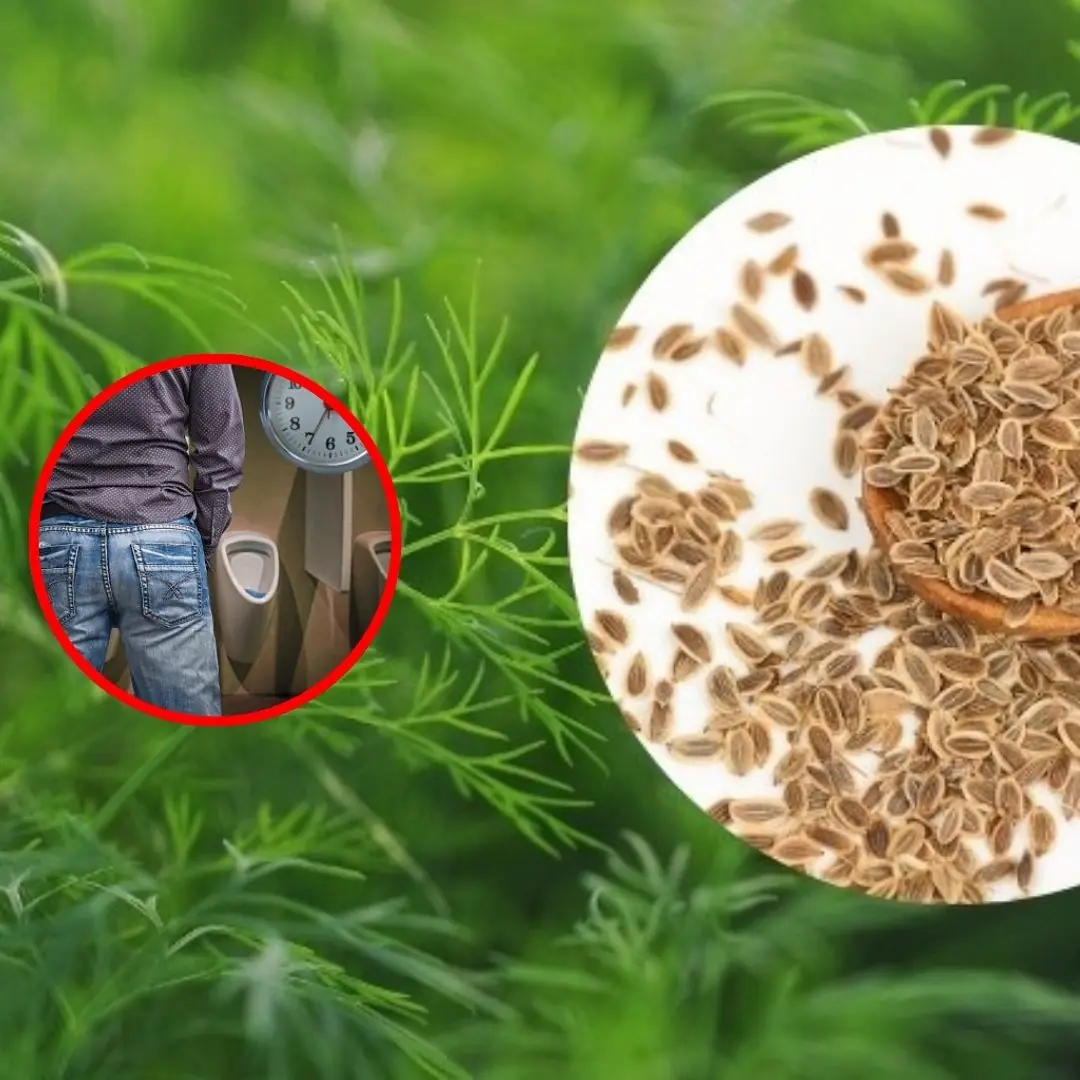 The familiar seeds in the kitchen turn out to be a precious medicine with 9 wonderful uses