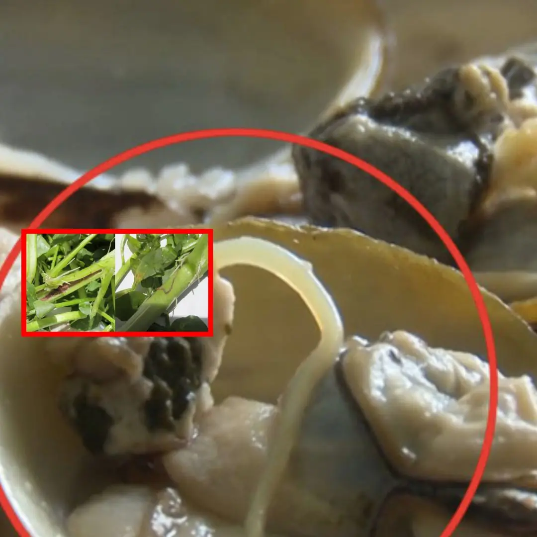 Did you know that common foods we eat daily—such as greens, seafood, and meat—can be infected with worms? Let’s explore which foods are most vulnerable and how to reduce the risk