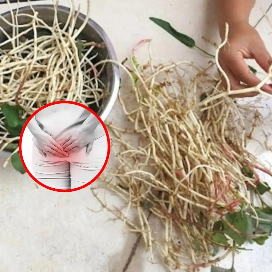 The Overlooked Root You Toss Out Could Be a Potent Remedy