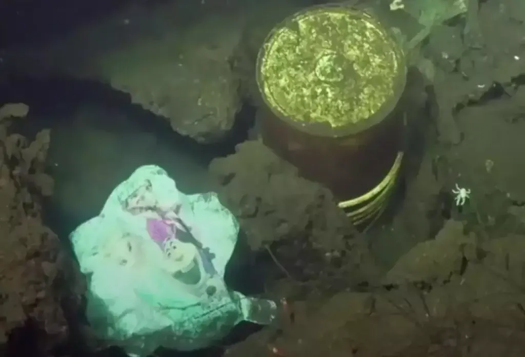 Depressing find at the bottom of the Mariana Trench is a warning to the world