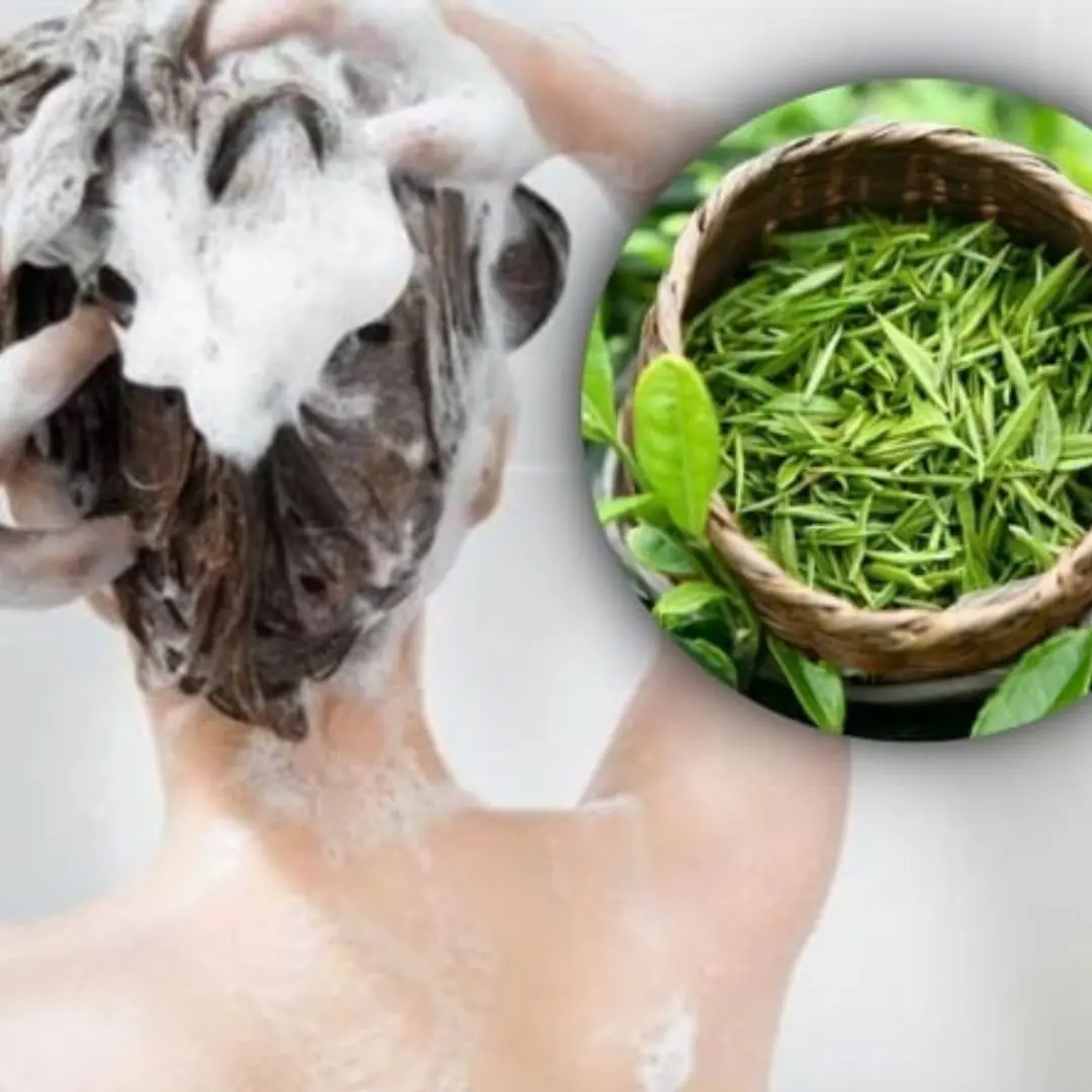 How to wash hair with green tea leaves to reduce hair loss and make hair smooth