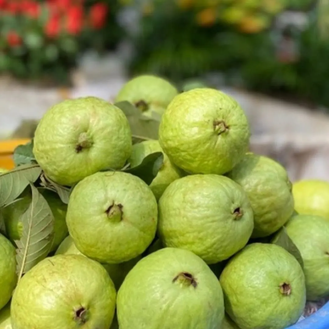 3 surprising health benefits of eating guava at night