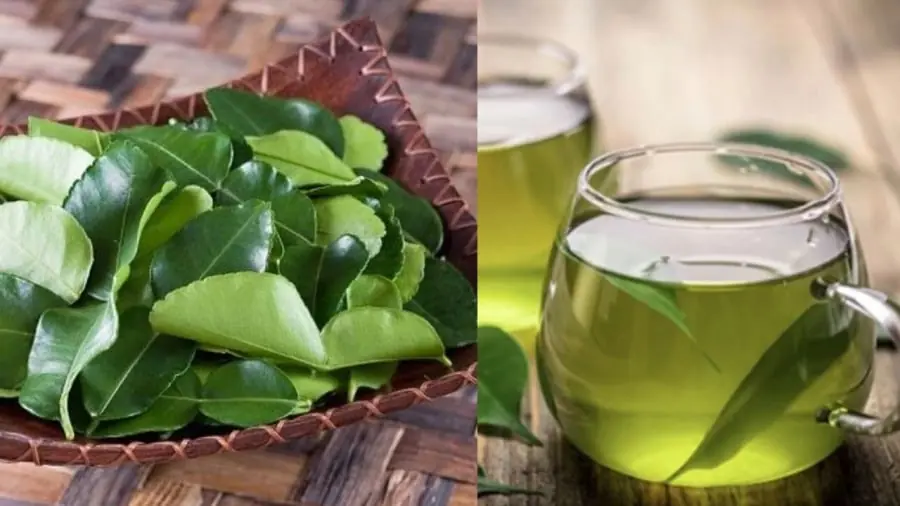 How to Use Kaffir Lime Leaves: Aid Digestion, Detoxify, Cool the Body, Relax, and Improve Sleep