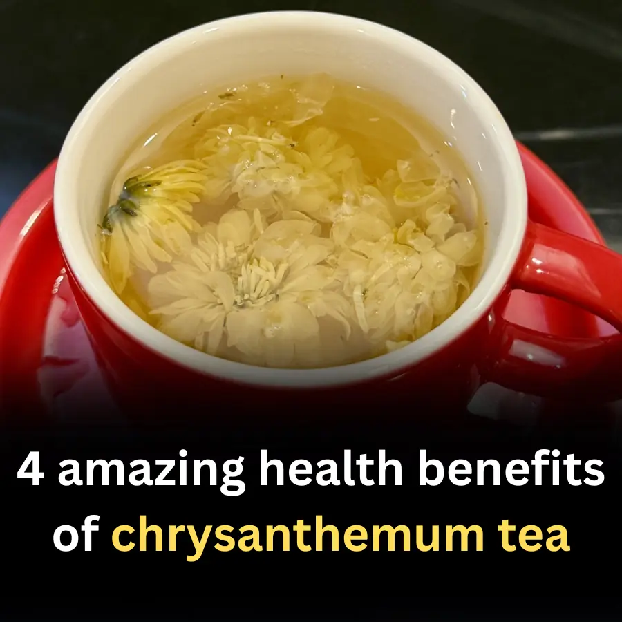 4 amazing health benefits of chrysanthemum tea