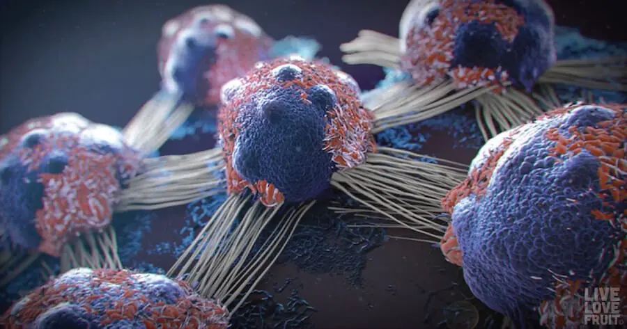 7 Anti-Cancer Foods That Kill Cancer The Moment You Start Eating Them