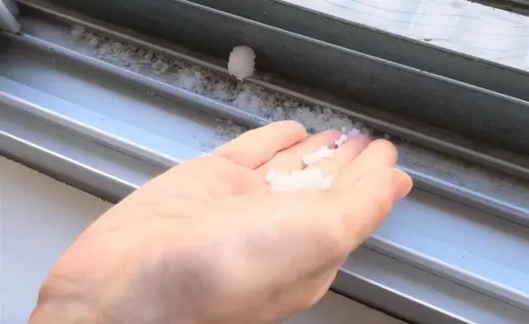 Sprinkle a little salt into the door cracks, you will see something special after 5 minutes