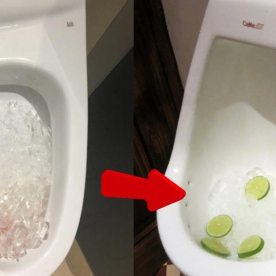 Why do restaurants and hotels often put ice in the toilet?
