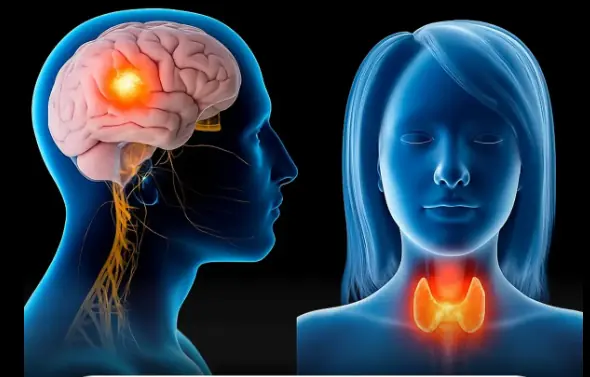 Head and Neck Canc3r: Risk Factors, Symptoms, and Prevention Tips