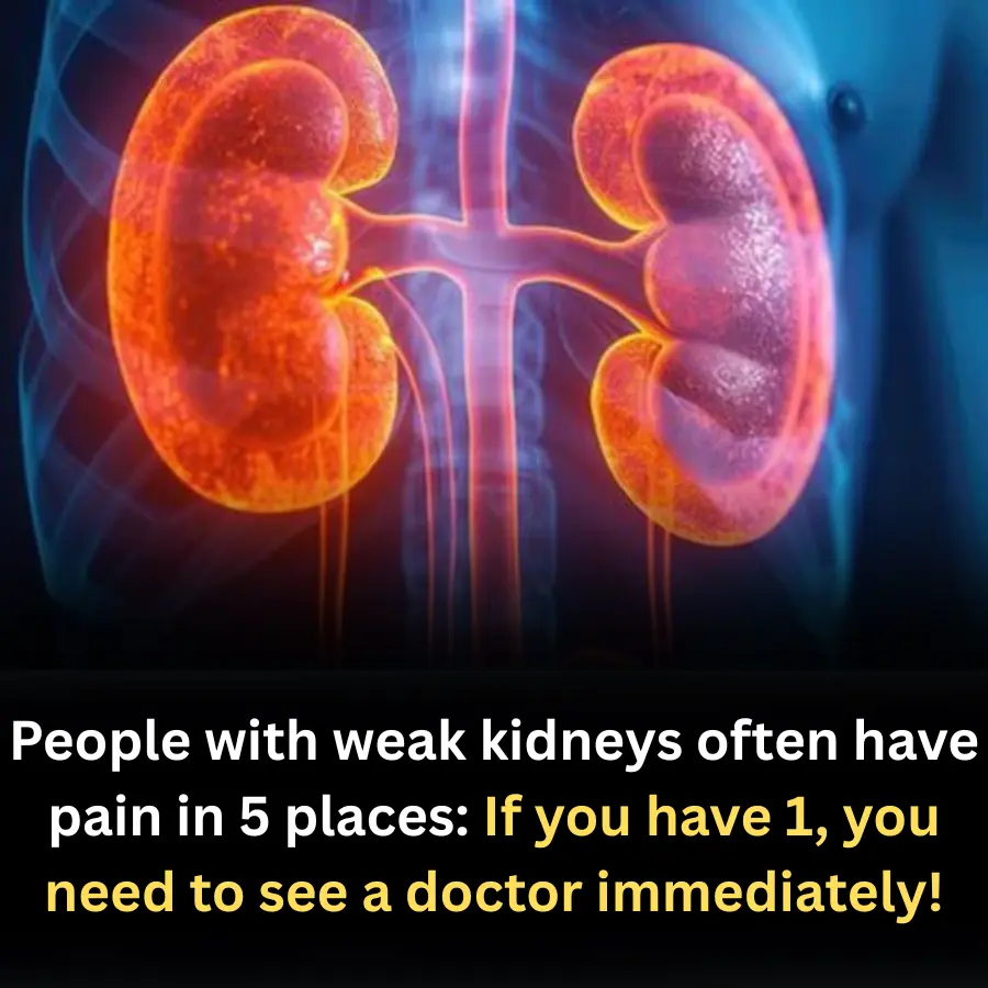 People with weak kidneys often have pain in 5 places: If you have 1, you need to see a doctor immediately!