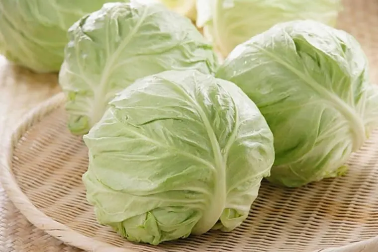 Cabbage Is Nutritious but Harmful for These 5 Groups of People